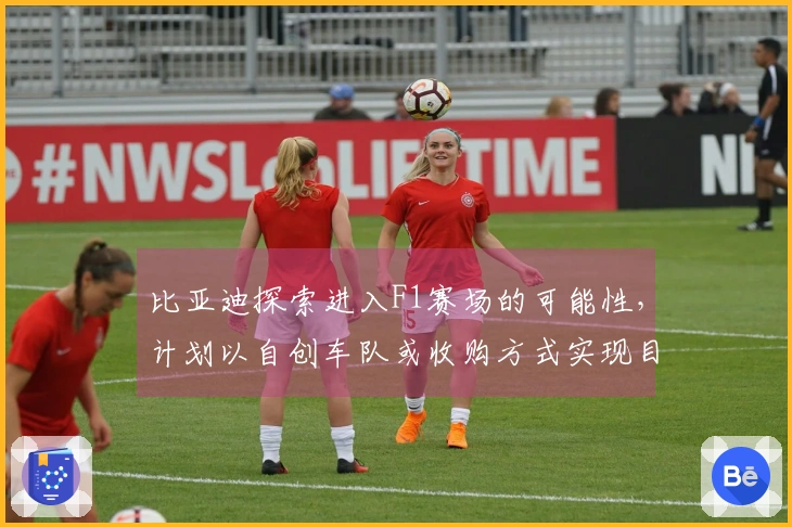 比亚迪探索进入F1赛场的可能性，计划以自创车队或收购方式实现目标