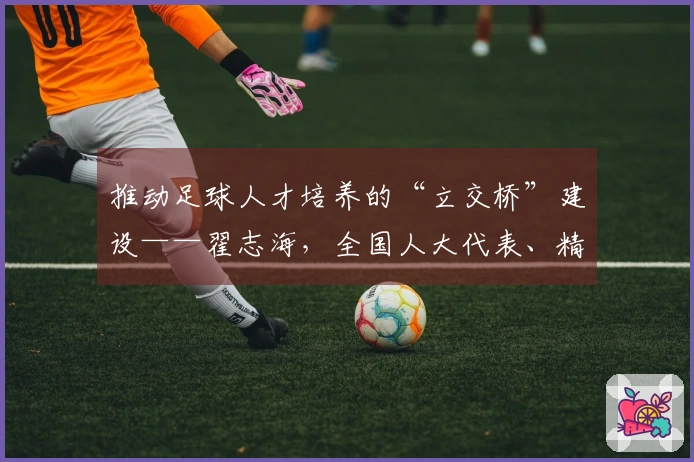 推动足球人才培养的“立交桥”建设——翟志海，全国人大代表、精英集团董事长兼总裁